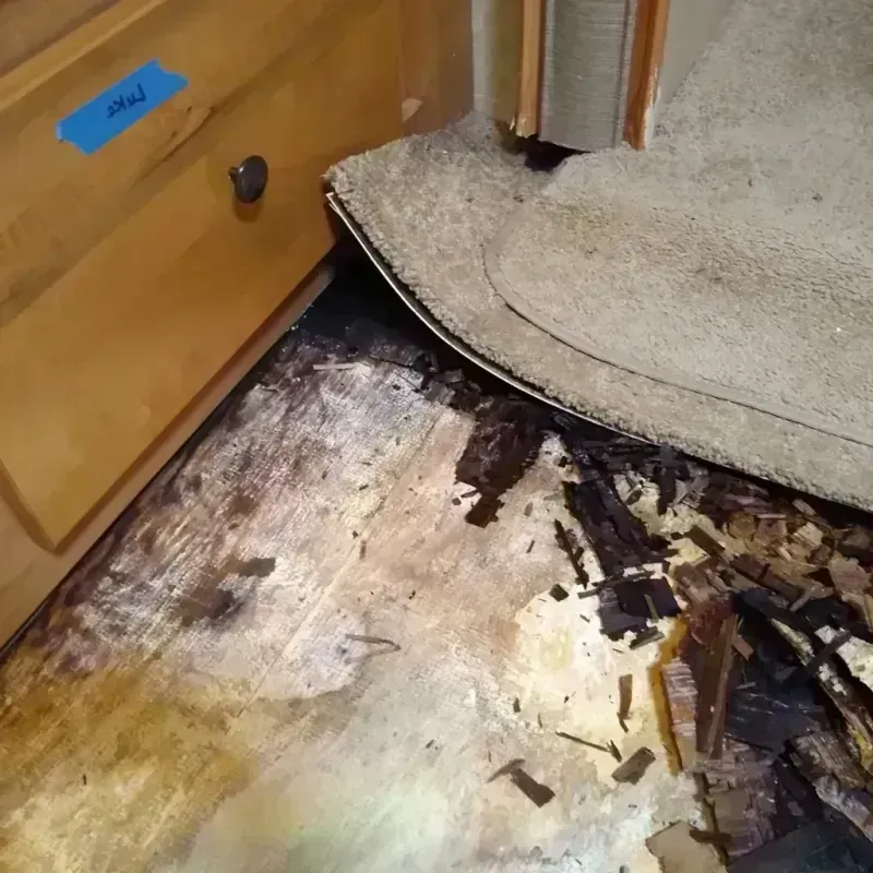 Best Wood Floor Water Damage Service in Ashland, MS